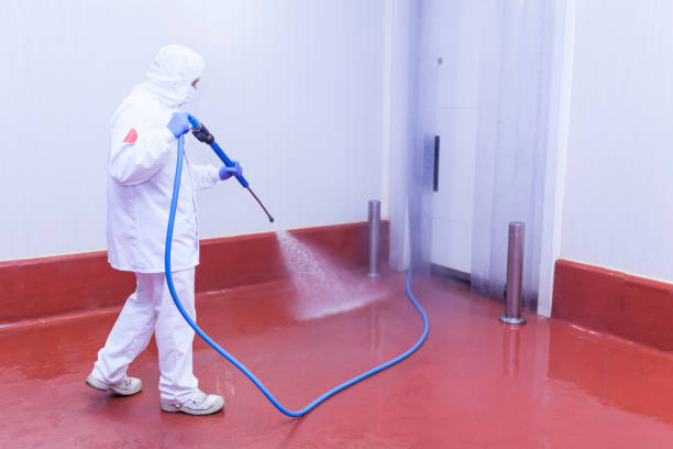 Best Soft Washing  in Bonneauville, PA
